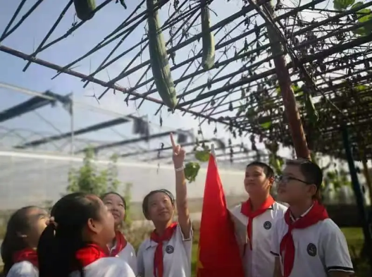 图片.png